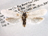  ( - CCDB-22949-G06)  @13 [ ] CreativeCommons - Attribution (2014) CBG Photography Group Centre for Biodiversity Genomics