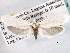  ( - CCDB-22949-G07)  @11 [ ] CreativeCommons - Attribution (2014) CBG Photography Group Centre for Biodiversity Genomics