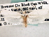  ( - CCDB-22949-H03)  @11 [ ] CreativeCommons - Attribution (2014) CBG Photography Group Centre for Biodiversity Genomics
