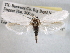 ( - CCDB-22949-H06)  @13 [ ] CreativeCommons - Attribution (2014) CBG Photography Group Centre for Biodiversity Genomics