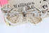  ( - CCDB-24282-E10)  @11 [ ] CreativeCommons - Attribution (2015) CBG Photography Group Centre for Biodiversity Genomics