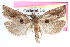  ( - CCDB-24282-G12)  @11 [ ] CreativeCommons - Attribution (2015) CBG Photography Group Centre for Biodiversity Genomics