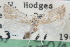  (Pelochrista pallidipalpana - CCDB-24282-H02)  @11 [ ] CreativeCommons - Attribution (2015) CBG Photography Group Centre for Biodiversity Genomics