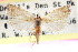  ( - CCDB-24282-H03)  @11 [ ] CreativeCommons - Attribution (2015) CBG Photography Group Centre for Biodiversity Genomics