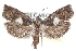 ( - CCDB-24283-B07)  @11 [ ] CreativeCommons - Attribution (2015) CBG Photography Group Centre for Biodiversity Genomics