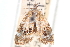  ( - CCDB-24284-D11)  @11 [ ] CreativeCommons - Attribution (2015) CBG Photography Group Centre for Biodiversity Genomics