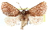  ( - CCDB-28562-B02)  @14 [ ] CreativeCommons - Attribution (2015) CBG Photography Group Centre for Biodiversity Genomics