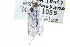  ( - CCDB-28562-C07)  @12 [ ] CreativeCommons - Attribution (2015) CBG Photography Group Centre for Biodiversity Genomics