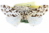  ( - CCDB-28562-F07)  @13 [ ] CreativeCommons - Attribution (2015) CBG Photography Group Centre for Biodiversity Genomics