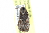  ( - CCDB-28562-H03)  @11 [ ] CreativeCommons - Attribution (2015) CBG Photography Group Centre for Biodiversity Genomics