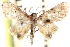 ( - CCDB-28563-D12)  @11 [ ] CreativeCommons - Attribution (2015) CBG Photography Group Centre for Biodiversity Genomics