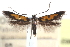  ( - CCDB-28563-E06)  @11 [ ] CreativeCommons - Attribution (2015) CBG Photography Group Centre for Biodiversity Genomics