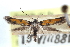 ( - CCDB-28563-E08)  @11 [ ] CreativeCommons - Attribution (2015) CBG Photography Group Centre for Biodiversity Genomics