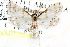  ( - CCDB-28951-B10)  @11 [ ] CreativeCommons - Attribution (2016) CBG Photography Group Centre for Biodiversity Genomics