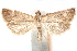  ( - CCDB-28951-D02)  @11 [ ] CreativeCommons - Attribution (2016) CBG Photography Group Centre for Biodiversity Genomics