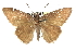  ( - CCDB-28952-F05_NGS)  @11 [ ] CreativeCommons - Attribution (2016) Jacopo DErcole Centre for Biodiversity Genomics