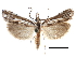  ( - CCDB-28955-A07)  @11 [ ] CreativeCommons - Attribution (2016) CBG Photography Group Centre for Biodiversity Genomics