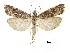  ( - CCDB-28955-B02)  @15 [ ] CreativeCommons - Attribution (2016) CBG Photography Group Centre for Biodiversity Genomics