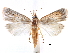  ( - CCDB-28955-B10)  @11 [ ] CreativeCommons - Attribution (2016) CBG Photography Group Centre for Biodiversity Genomics