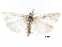  ( - CCDB-28955-F08)  @14 [ ] CreativeCommons - Attribution (2016) CBG Photography Group Centre for Biodiversity Genomics