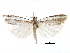  ( - CCDB-28955-H03)  @11 [ ] CreativeCommons - Attribution (2016) CBG Photography Group Centre for Biodiversity Genomics