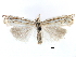  ( - CCDB-28955-H07)  @11 [ ] CreativeCommons - Attribution (2016) CBG Photography Group Centre for Biodiversity Genomics