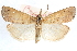  ( - CCDB-28957-C07)  @11 [ ] CreativeCommons - Attribution (2016) CBG Photography Group Centre for Biodiversity Genomics