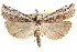  (La - CCDB-28957-G07)  @13 [ ] CreativeCommons - Attribution (2016) CBG Photography Group Centre for Biodiversity Genomics