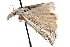 ( - CCDB-28957-G10)  @12 [ ] CreativeCommons - Attribution (2016) CBG Photography Group Centre for Biodiversity Genomics