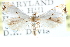  ( - CCDB-28957-H01)  @13 [ ] CreativeCommons - Attribution (2016) CBG Photography Group Centre for Biodiversity Genomics