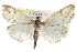  ( - CCDB-28958-B09)  @11 [ ] CreativeCommons - Attribution (2016) CBG Photography Group Centre for Biodiversity Genomics