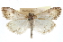  ( - CCDB-28958-B10)  @11 [ ] CreativeCommons - Attribution (2016) CBG Photography Group Centre for Biodiversity Genomics