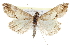  ( - CCDB-28958-B11)  @11 [ ] CreativeCommons - Attribution (2016) CBG Photography Group Centre for Biodiversity Genomics