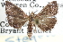  ( - CCDB-28958-F10)  @11 [ ] CreativeCommons - Attribution (2016) CBG Photography Group Centre for Biodiversity Genomics