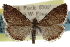  ( - CCDB-28958-H06)  @11 [ ] CreativeCommons - Attribution (2016) CBG Photography Group Centre for Biodiversity Genomics