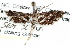  ( - CCDB-28960-G02)  @11 [ ] CreativeCommons - Attribution (2016) CBG Photography Group Centre for Biodiversity Genomics