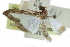  ( - CCDB-28961-A04)  @11 [ ] CreativeCommons - Attribution (2016) CBG Photography Group Centre for Biodiversity Genomics