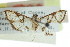  ( - CCDB-28961-A06)  @11 [ ] CreativeCommons - Attribution (2016) CBG Photography Group Centre for Biodiversity Genomics