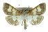  ( - CCDB-28961-D02)  @13 [ ] CreativeCommons - Attribution (2016) CBG Photography Group Centre for Biodiversity Genomics