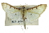  ( - CCDB-28961-E07)  @11 [ ] CreativeCommons - Attribution (2016) CBG Photography Group Centre for Biodiversity Genomics