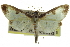  ( - CCDB-28961-E11)  @11 [ ] CreativeCommons - Attribution (2016) CBG Photography Group Centre for Biodiversity Genomics