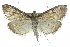  ( - CCDB-28961-G07)  @14 [ ] CreativeCommons - Attribution (2016) CBG Photography Group Centre for Biodiversity Genomics