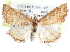  ( - CCDB-28963-A02)  @11 [ ] CreativeCommons - Attribution (2016) CBG Photography Group Centre for Biodiversity Genomics