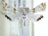  ( - CCDB-28964-B07)  @14 [ ] CreativeCommons - Attribution (2016) CBG Photography Group Centre for Biodiversity Genomics