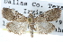  ( - CCDB-28966-C03)  @14 [ ] CreativeCommons - Attribution (2016) CBG Photography Group Centre for Biodiversity Genomics
