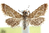  ( - CCDB-28967-A10)  @11 [ ] CreativeCommons - Attribution (2016) CBG Photography Group Centre for Biodiversity Genomics