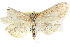  ( - CCDB-28967-H08)  @13 [ ] CreativeCommons - Attribution (2016) CBG Photography Group Centre for Biodiversity Genomics