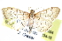  ( - CCDB-28968-A04)  @14 [ ] CreativeCommons - Attribution (2016) CBG Photography Group Centre for Biodiversity Genomics