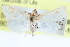  ( - CCDB-28969-B05)  @11 [ ] CreativeCommons - Attribution (2016) CBG Photography Group Centre for Biodiversity Genomics