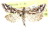  ( - CCDB-28969-B10)  @11 [ ] CreativeCommons - Attribution (2016) CBG Photography Group Centre for Biodiversity Genomics